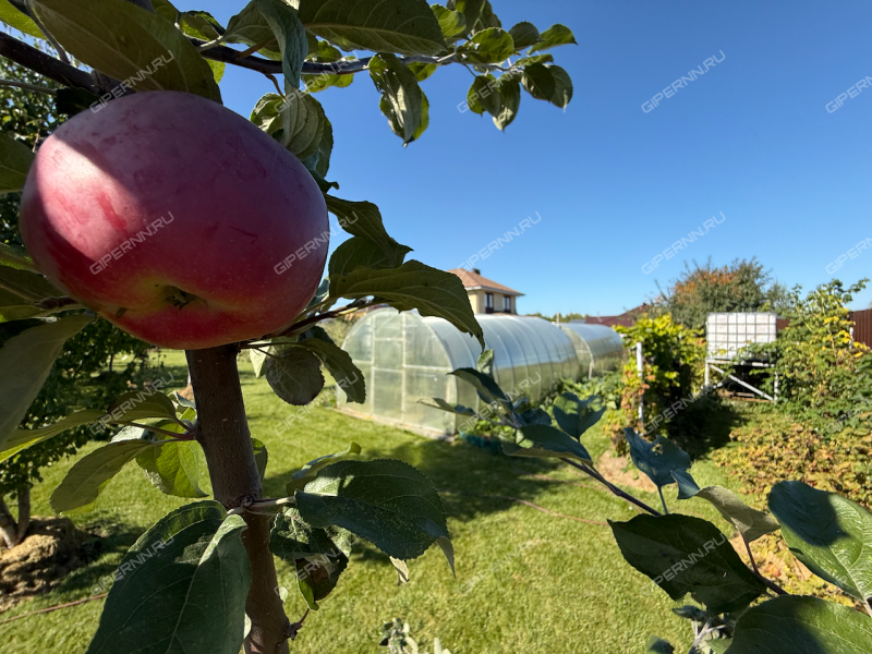 дом на улице Физкультурная деревня Бурцево