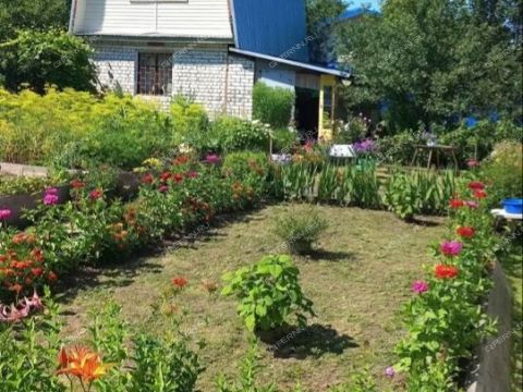 dacha-prosp-molodezhnyy фото