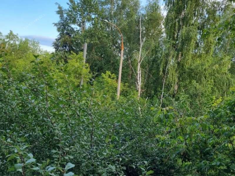 двухкомнатная квартира на проспекте Кирова дом 24