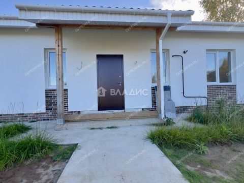 dom-derevnya-borisovka-gorodskoy-okrug-bor фото