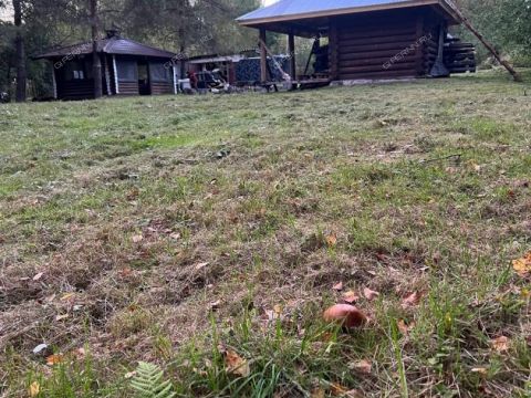 dom-derevnya-alferovo-balahninskiy-municipalnyy-okrug фото