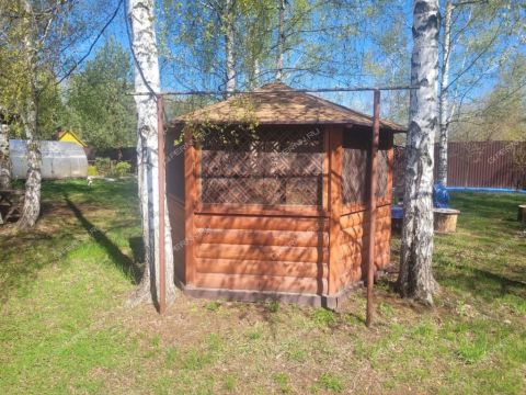 derevnya-lindo-pustyn-gorodskoy-okrug-bor фото
