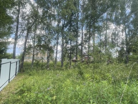 derevnya-klimotino-gorodskoy-okrug-chkalovsk фото