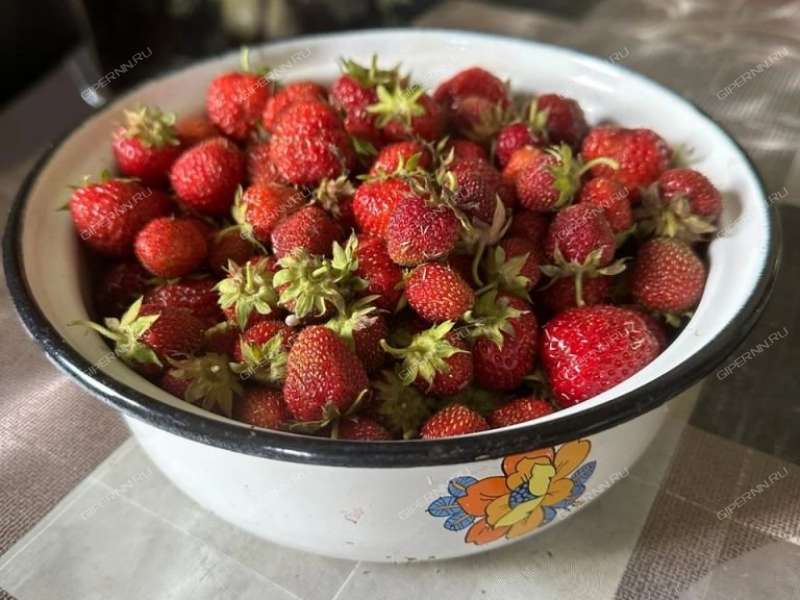 дом на улице Приволжская село Михайловское