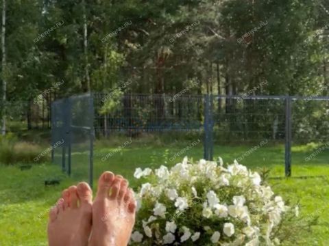 dom-derevnya-pionerskoe-ostankinskiy-selsovet-gorodskoy-okrug-bor фото