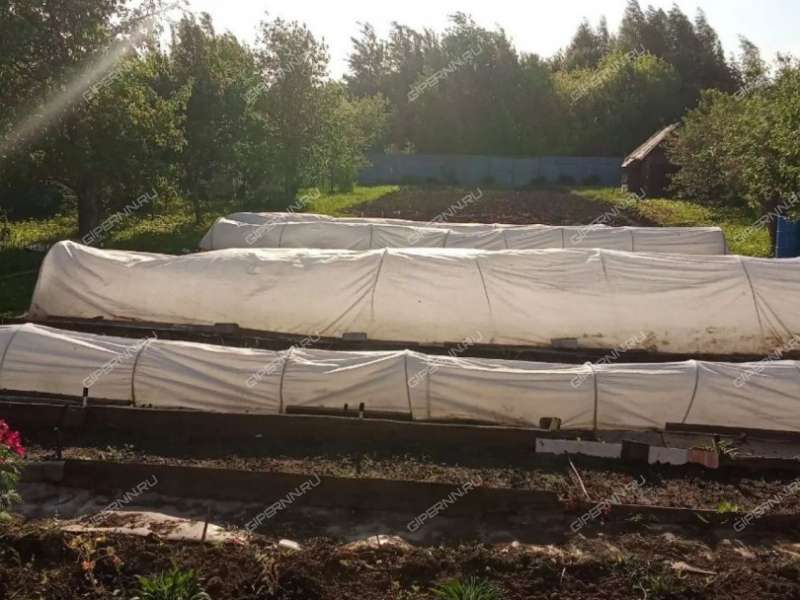 дом на Водопроводной улице деревня Хабарское