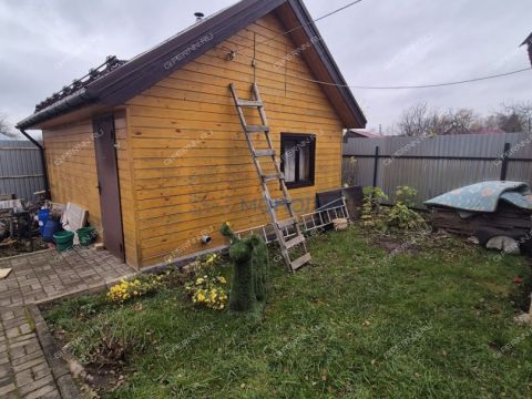 gorod-bogorodsk-bogorodskiy-municipalnyy-okrug фото