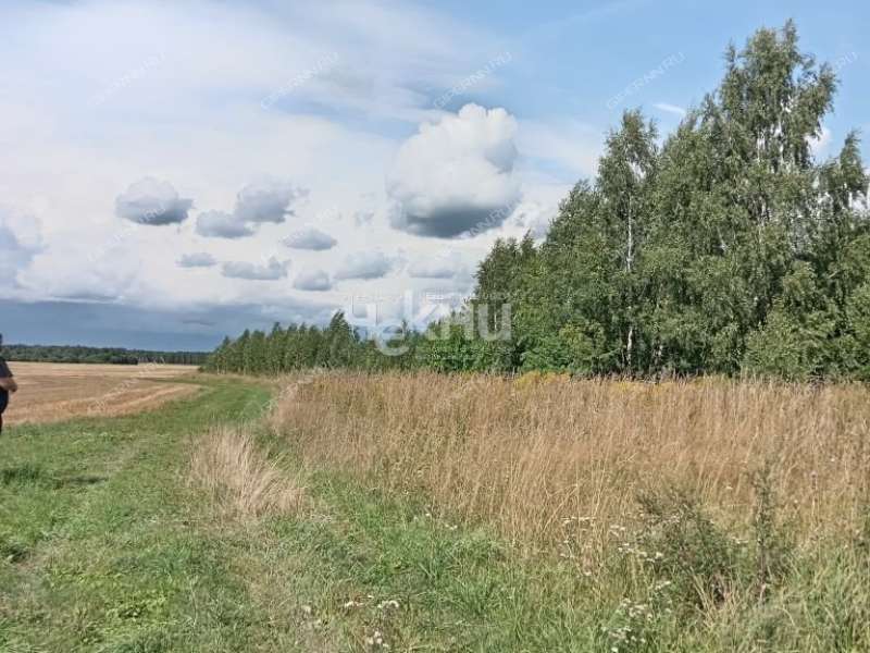 земельный участок 20 соток деревня Гришманово