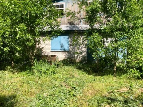 dacha-derevnya-shumilovo-bogorodskiy-municipalnyy-okrug фото
