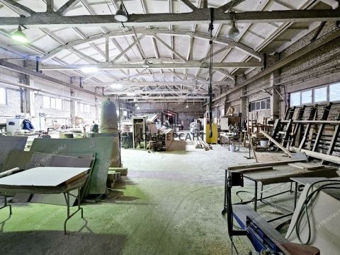 gorod-bor-gorodskoy-okrug-bor фото