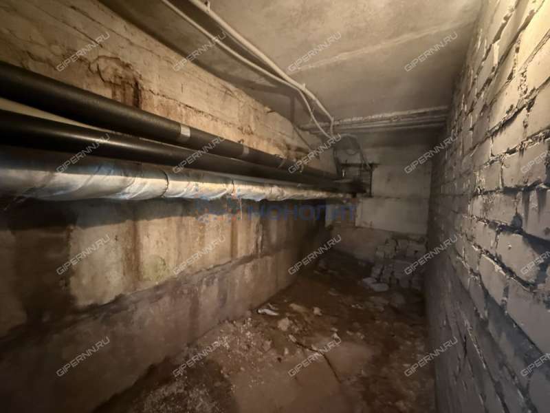 помещение под помещение свободного назначения на Малой Ямской улице