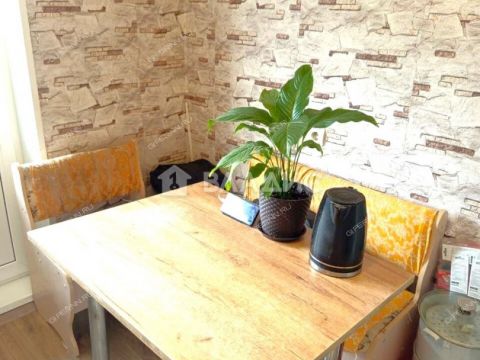 2-komnatnaya-derevnya-krasnaya-sloboda-gorodskoy-okrug-bor фото