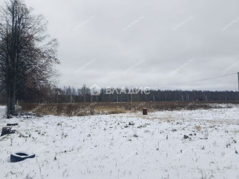 selo-bezvodnoe-kstovskiy-rayon фото