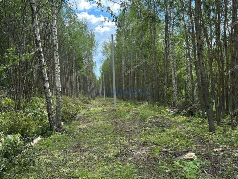 земельный участок 70 соток Цветаевой улица село Каменки