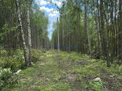 selo-kamenki-bogorodskiy-municipalnyy-okrug фото