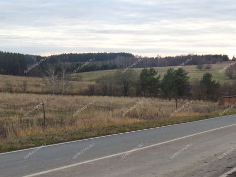 selo-svoboda-vadskiy-municipalnyy-okrug фото