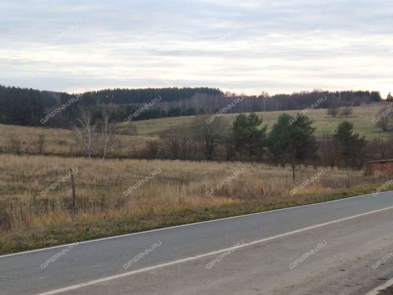 земельный участок 363 сотки Южная улица село Свобода