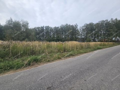 poselok-zhdanovskiy-kstovskiy-rayon фото