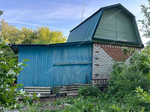 dacha фото