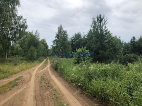 derevnya-kudrino-sokolskiy-gorodskoy-okrug фото