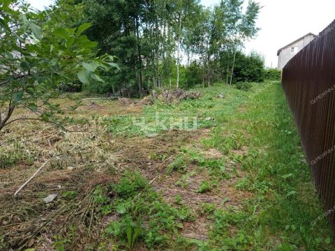 poselok-neklyudovo-gorodskoy-okrug-bor фото