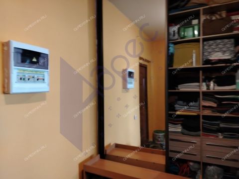 1-komnatnaya-derevnya-afonino-kstovskiy-rayon фото