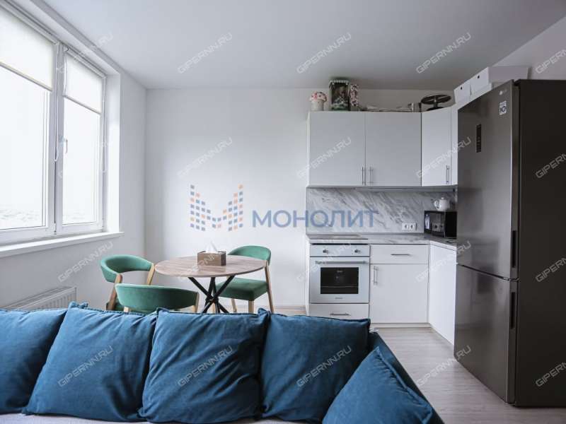 однокомнатная квартира на Черкесской улице дом 2 деревня Анкудиновка