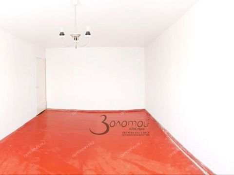 2-komnatnaya-selo-laksha-bogorodskiy-municipalnyy-okrug фото