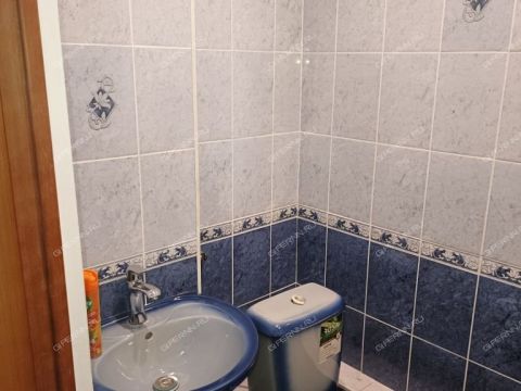 kottedzh-derevnya-elevaya-gorodskoy-okrug-bor фото