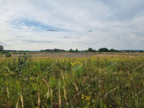 derevnya-kubaevo-bogorodskiy-municipalnyy-okrug фото