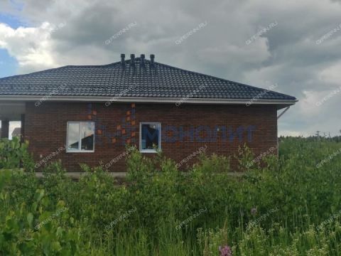 dom-derevnya-berezovka-bogorodskiy-municipalnyy-okrug фото