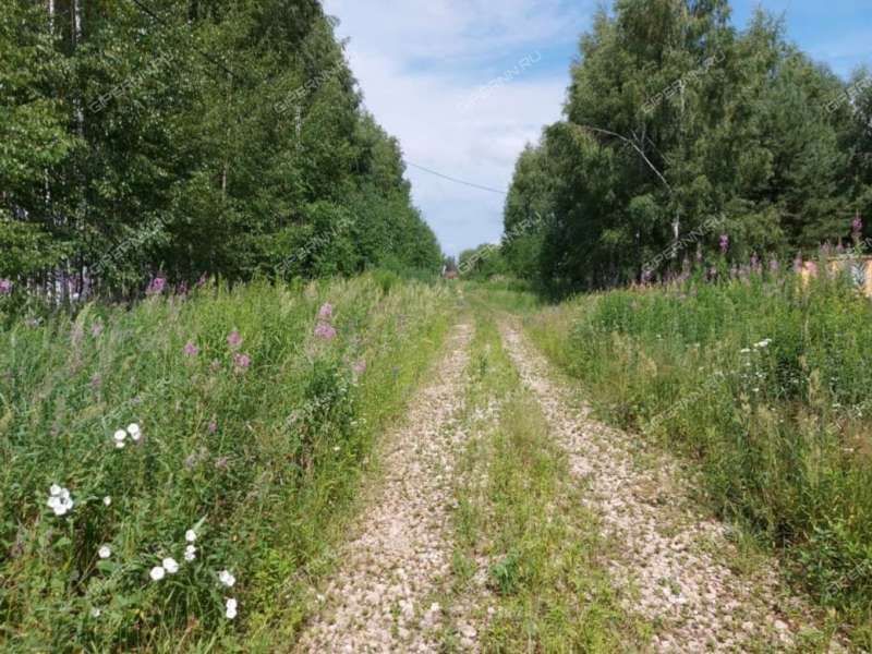 земельный участок 15 соток Южная деревня Хмелевая Поляна