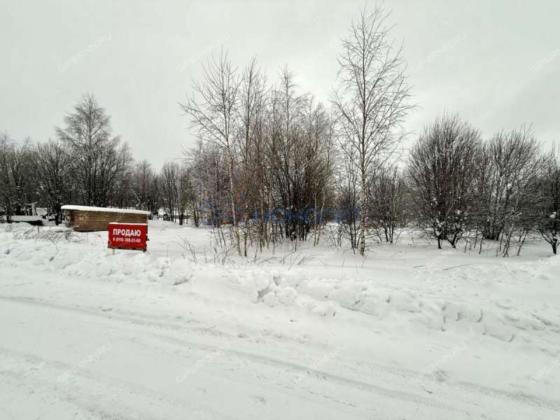 земельный участок 20,6 сотки Дружная улица село Дивеево