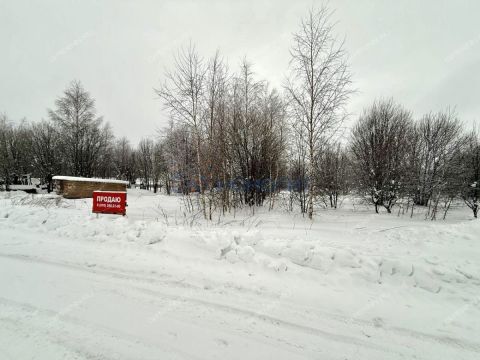 selo-diveevo-diveevskiy-municipalnyy-okrug фото