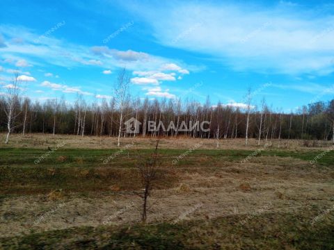 derevnya-inyutino-bogorodskiy-municipalnyy-okrug фото