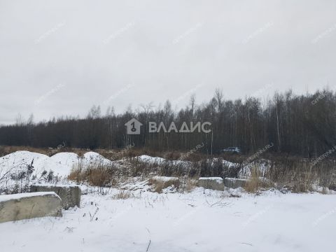 selo-bezvodnoe-kstovskiy-rayon фото