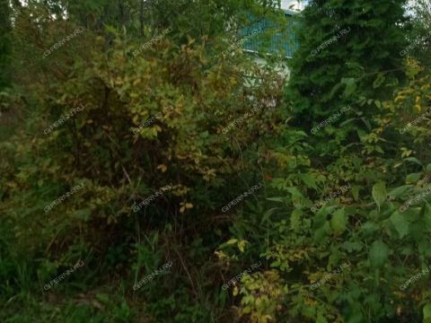 dacha-derevnya-zimenki-bogorodskiy-municipalnyy-okrug фото