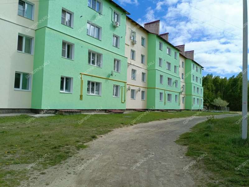 однокомнатная квартира на улице Чичерина дом 56 рабочий посёлок Досчатое