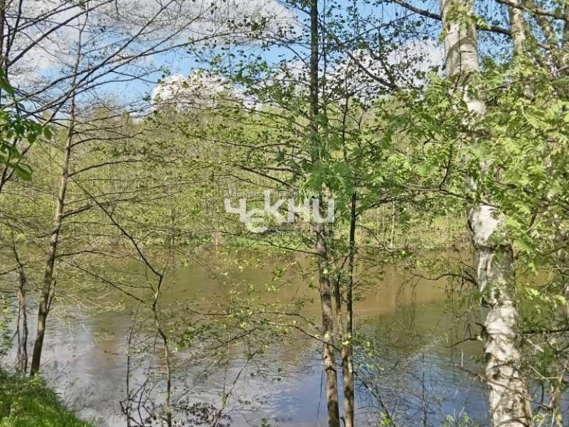 земельный участок 63 сотки деревня Дубрава