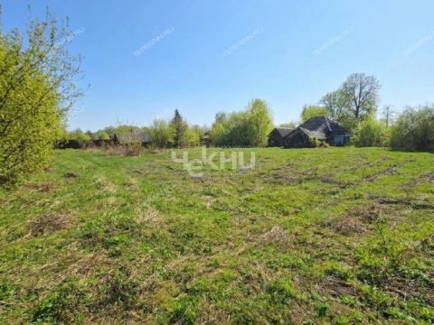 derevnya-blazhencovo-gorodeckiy-rayon фото