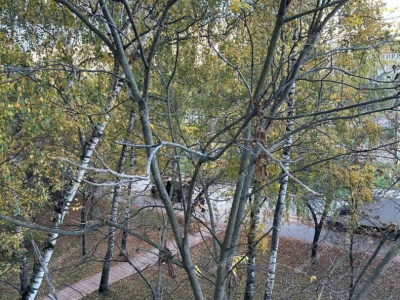 трёхкомнатная квартира на улице Героев Космоса дом 28