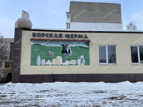 gorod-bor-gorodskoy-okrug-bor фото