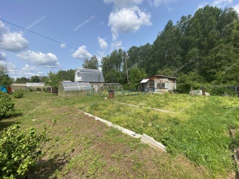 dacha-poselok-bolshoe-pikino-gorodskoy-okrug-bor фото