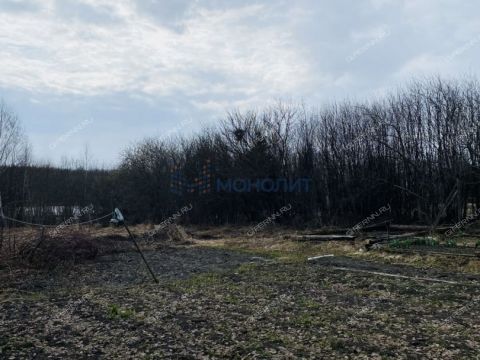 dom-derevnya-gridenino-balahninskiy-municipalnyy-okrug фото