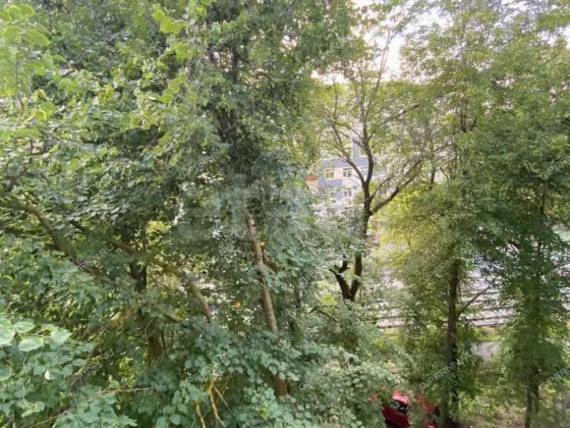 трёхкомнатная квартира на Малой Ямской улице дом 76