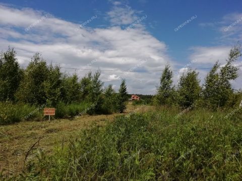 derevnya-zaozere-bogorodskiy-municipalnyy-okrug фото