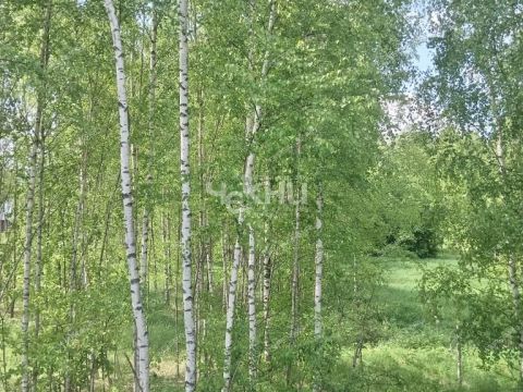 dom-derevnya-kiprevo-gorodeckiy-rayon фото