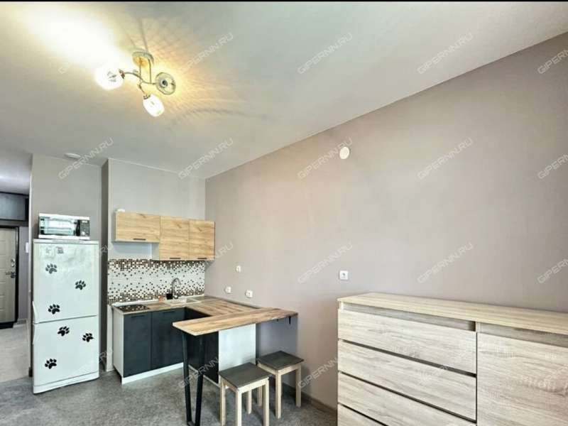 квартира-студия на Черкесской улице дом 17 деревня Анкудиновка