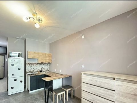 kvartira-studiya-derevnya-ankudinovka-kstovskiy-rayon фото