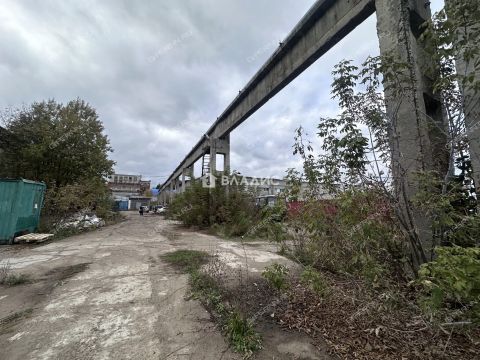gorod-pavlovo-pavlovskiy-municipalnyy-okrug фото